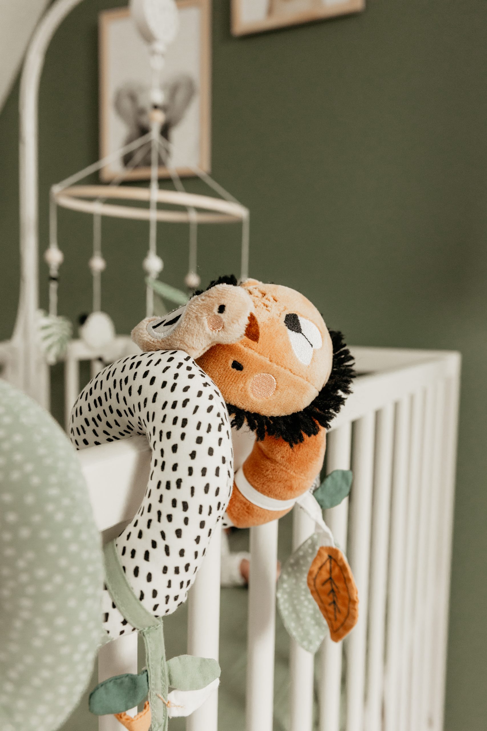 photographe naissance tours