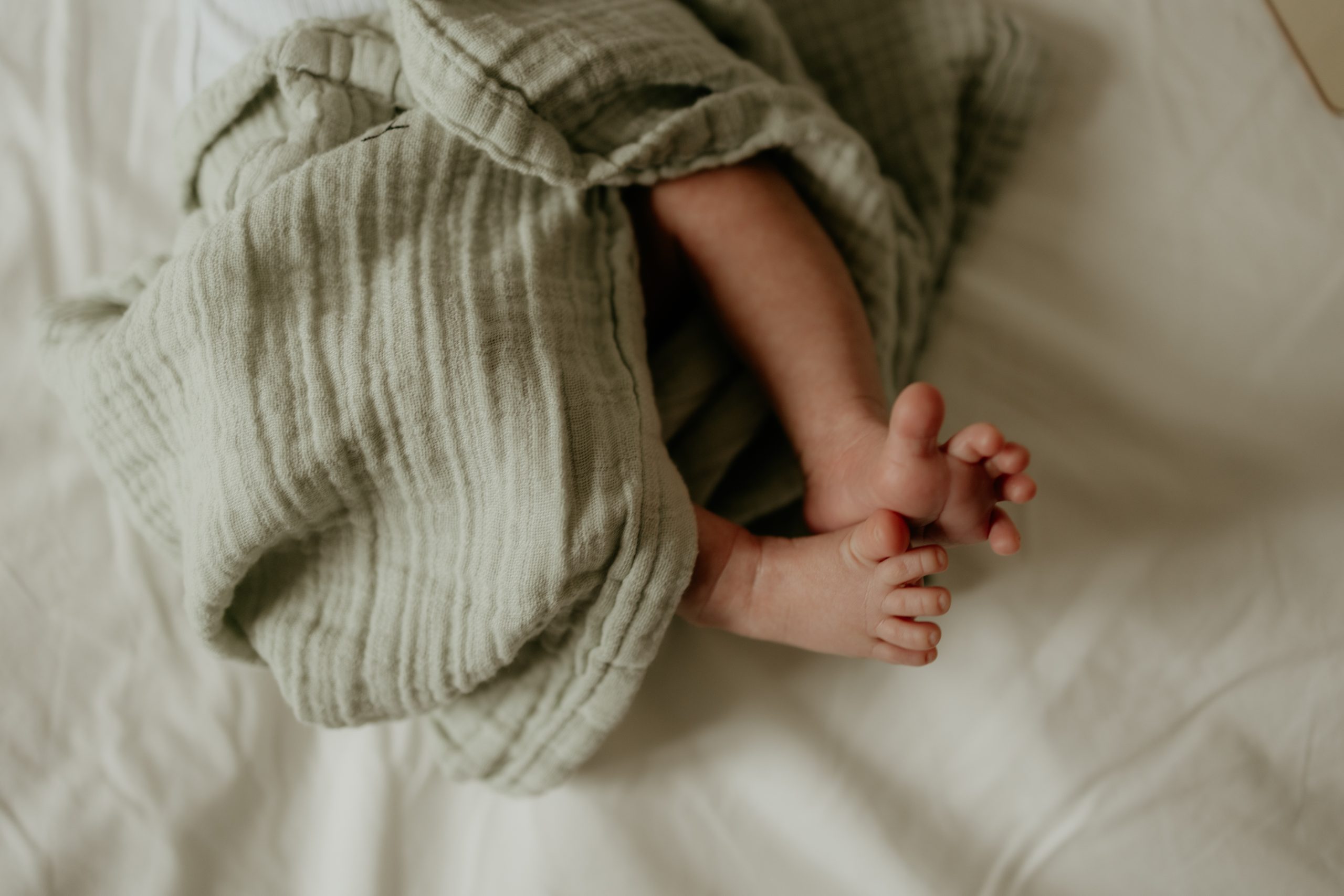 photographe seance naissance bebe rennes chateaubriant